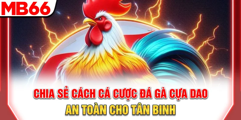 Chia sẻ cách cá cược đá gà cựa dao an toàn cho tân binh